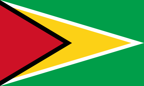 Landesflagge Guyana